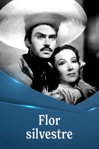 Flor Silvestre | ViX