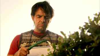 La desaparición de Gunter