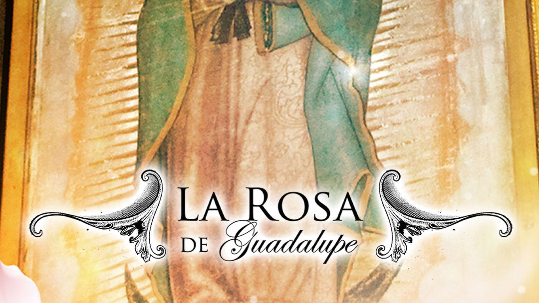 La Rosa de Guadalupe | ViX