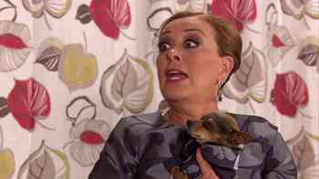 Amor contra todo pronóstico