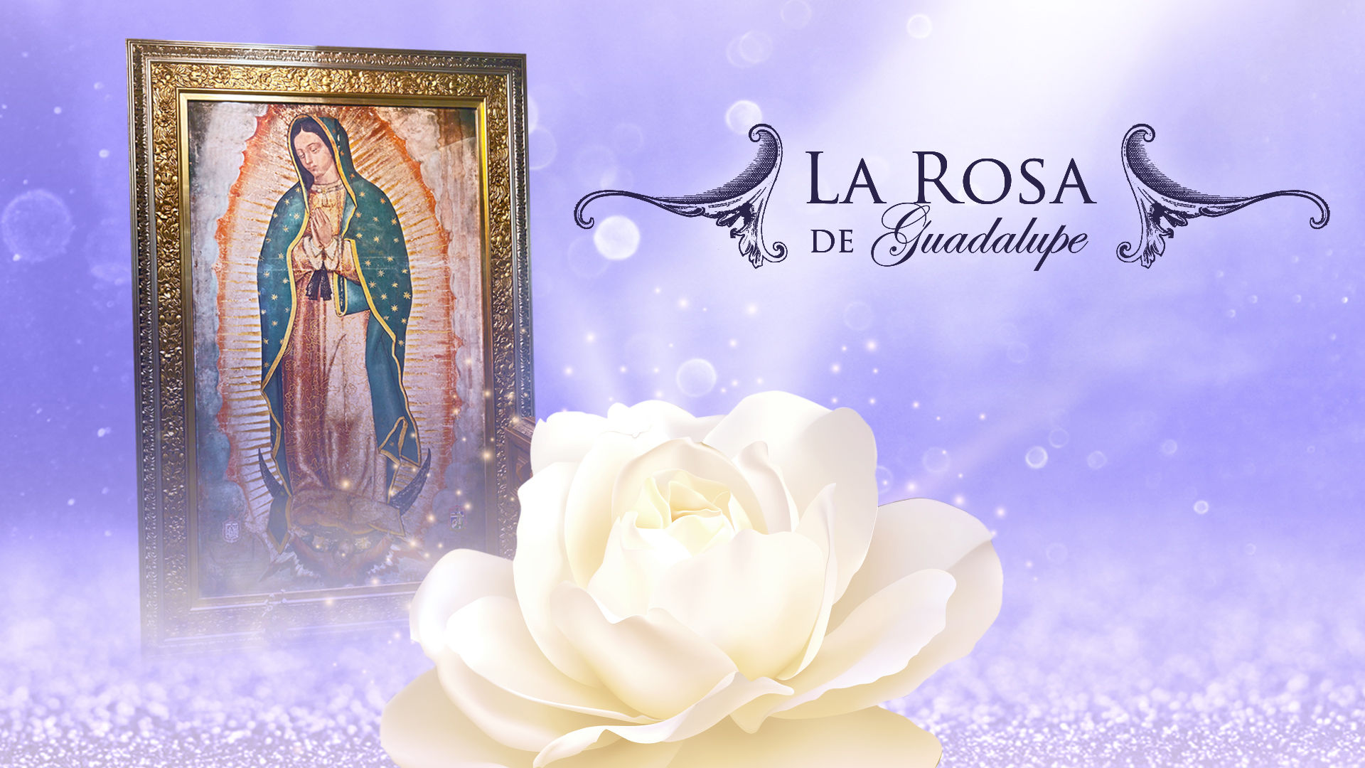 Ver La Rosa de Guadalupe por ViX