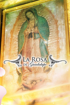 La Rosa de Guadalupe