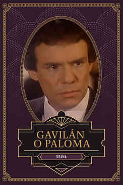 Gavilán o paloma