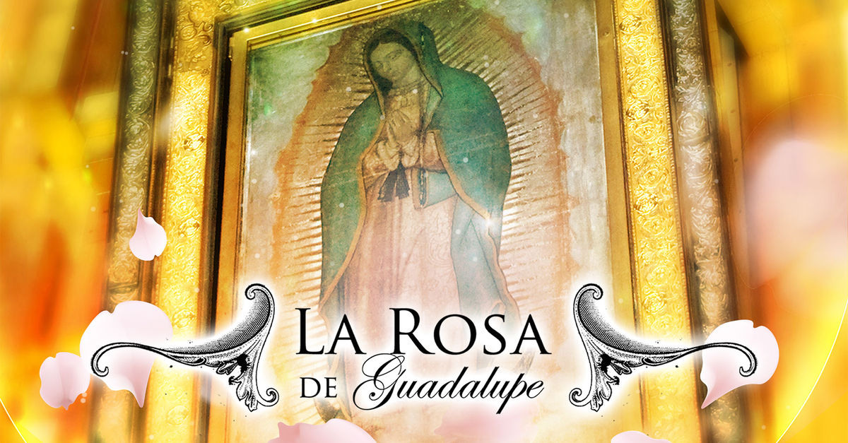 Ver La Rosa De Guadalupe Por Vix