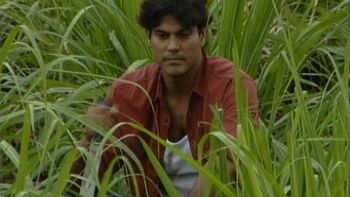 Un amor difícil de olvidar