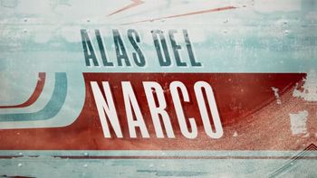 Alas del narco