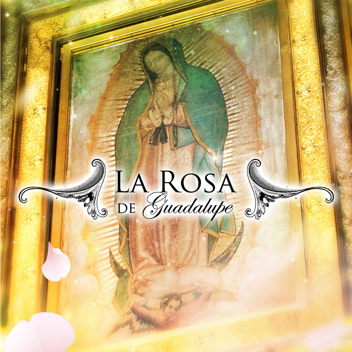 La Rosa De Guadalupe Mr Chambitas Sale Online Pacificproductsandservices Com