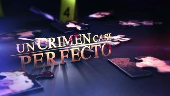 Un crimen casi perfecto
