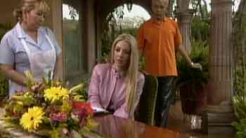 Amor a primera vista