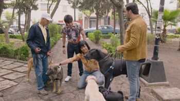 Echando los perros