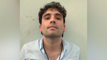 ¡Liberaron al Chapito!