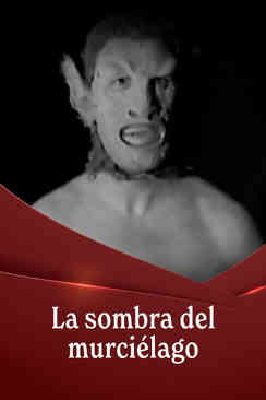 La sombra del murciélago