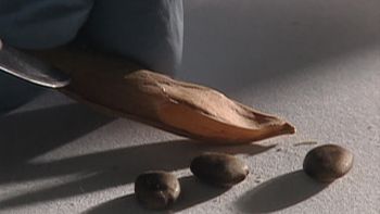 Semillas de la destrucción