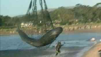 Peleas, rescates y huidas