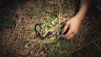 De Tal Padre, Tal Hijo