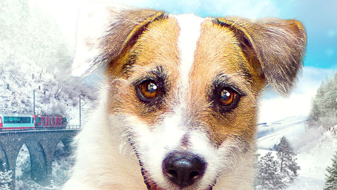 Perro de Navidad | ViX