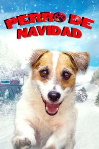 Perro de Navidad