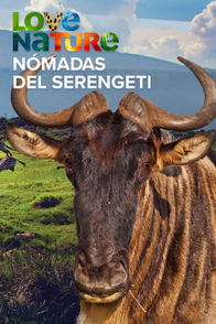 Nómadas Del Serengeti