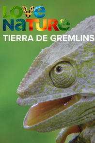 Tierra De Gremlins