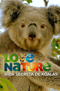 Vida Secreta De Koalas