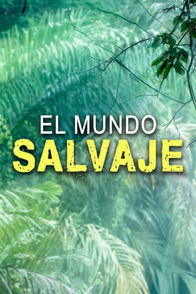 El Mundo Salvaje | ViX