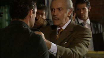 Medios hermanos