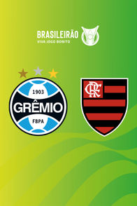 Grêmio vs Flamengo