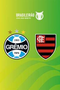 Grêmio vs Flamengo | ViX