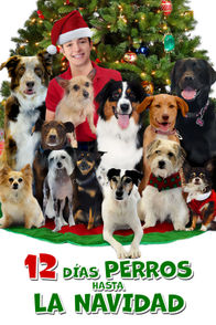 12 días perros para Navidad