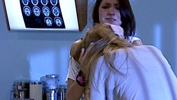 Consecuencias de violencia