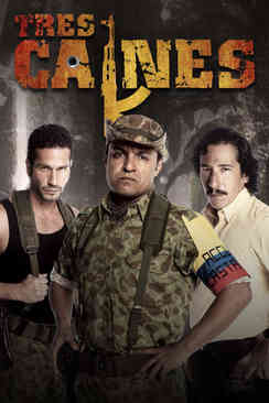 Bandos contrarios