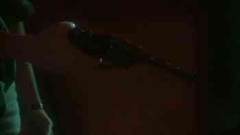 Disparos insospechados