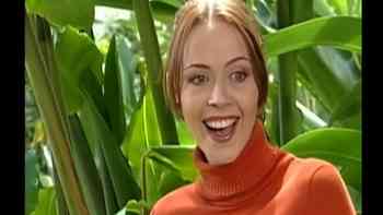 Eliminando el contrato