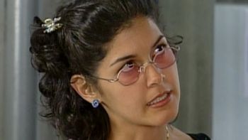 El autor el crimen
