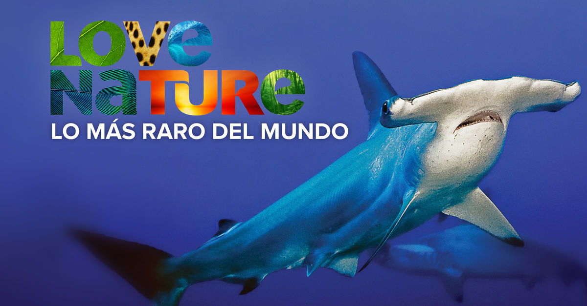 Ver Lo Más Raro del Mundo, capítulo 3 temporada 1 por ViX