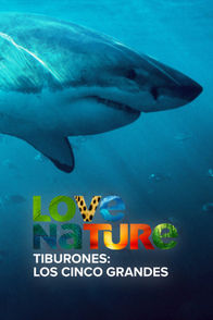 Tiburones: Los Cinco Grandes