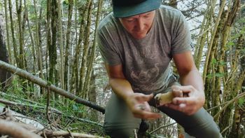 Cómo entrenar para la Gran Montaña