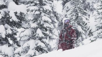 ¿Cómo encontrar nieve fresca?