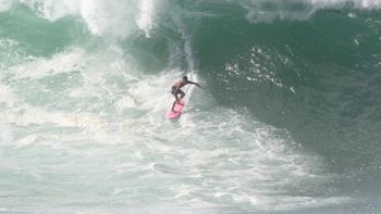 Surf sobre arbustos