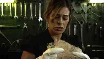 Las tripas de Bobby el oso