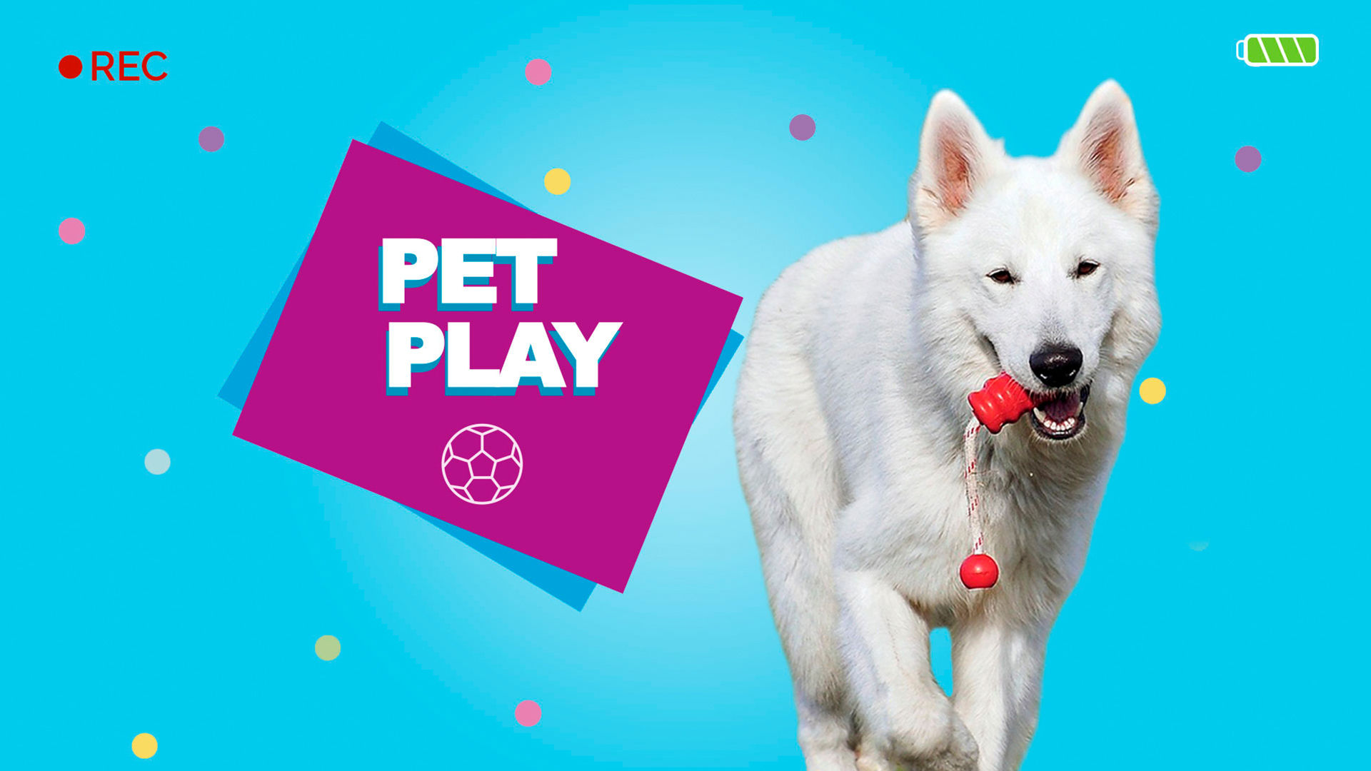 ver-pet-play-cap-tulo-1-temporada-1-por-vix