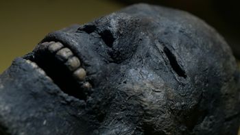 La maldición de la momia | ViX