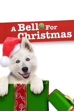 A Belle For Christmas