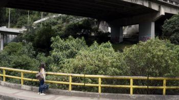 El suicidio