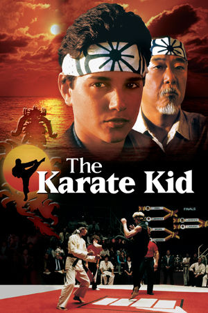The Karate Kid | ViX
