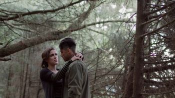 Investigación truncada