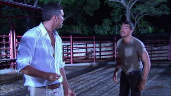 Pelea por amor | ViX