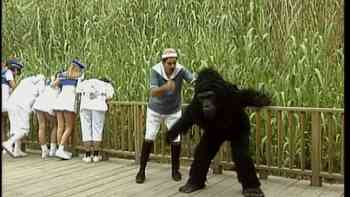 El zoológico de Chapultepec