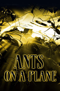 Ants on a Plane