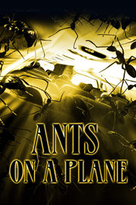 Ants on a Plane | ViX